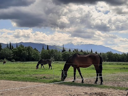 Les écuries Des Orgues, Centre Equestres à Ille-sur-Têt