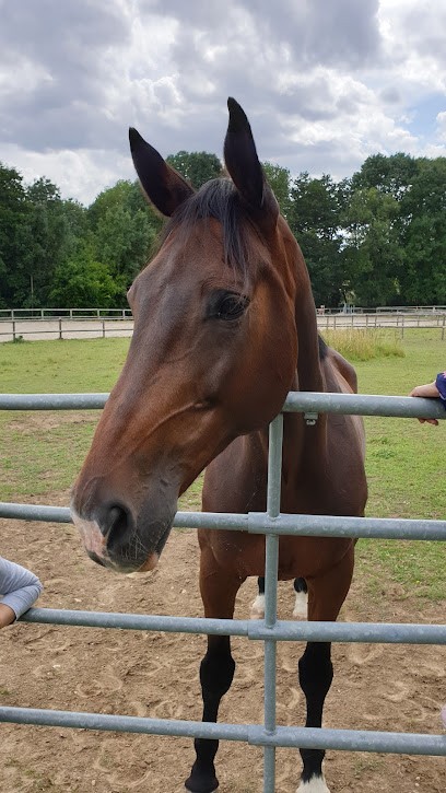 Stud Des Sources, Centre Equestres à Conches-sur-Gondoire