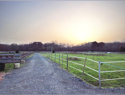 La Pension Du Médoc, Pension Pour Chevaux au Taillan-Médoc