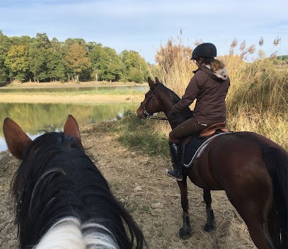 Pension pour chevaux Au Saut de la Vie, Pension pour Chevaux à Vouneuil-sur-Vienne