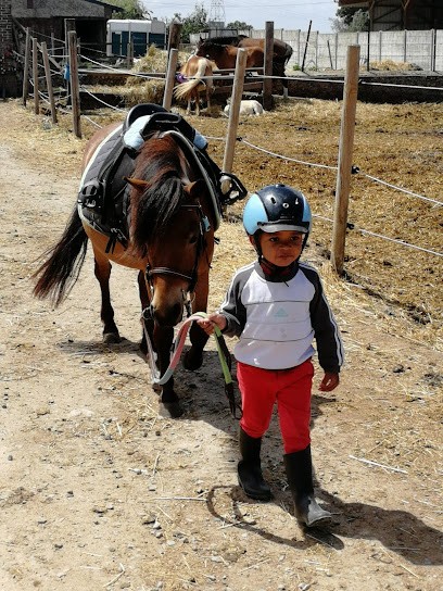 ECURIE ENJOY PARADISE, Centre Equestres à Coudres