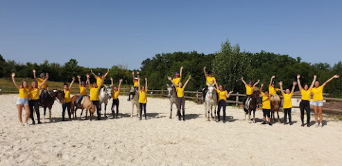 Les Écuries De Merlanes, Centre Équestre à Molières