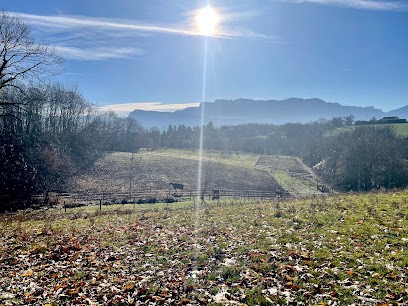 Les écuries De Mercuel, Pension pour Chevaux à Réaumont