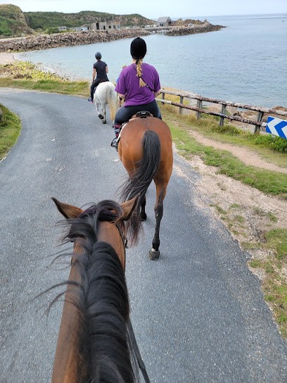 Les Chevaux du Cap Lévi, Centre Equestres à Fermanville