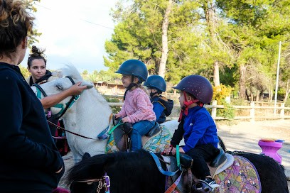 Pony Baby Vitrolles, Centre Equestres à Vitrolles