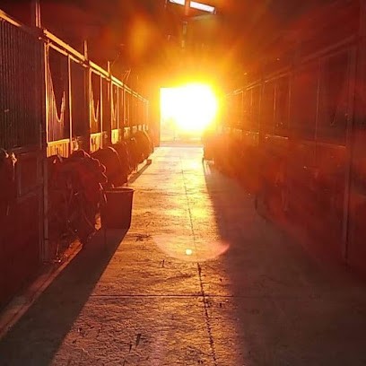 Ecuries Du Rocher De Montmelian, Centre Equestres à Samoreau