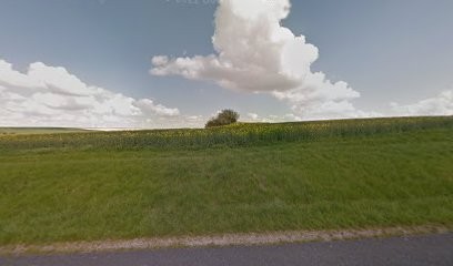 Les écuries De Mandre, Pension pour Chevaux à La Chaussée-sur-Marne