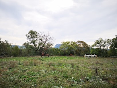 Domaine des Arcs, Centre Equestres à Notre-Dame-de-Londres