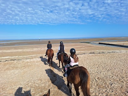 Horse Farm Blin, Centre Equestres à Houlgate