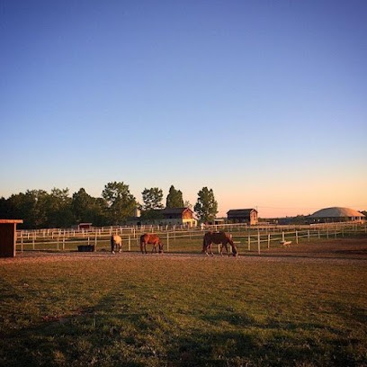Écurie Du Domaine De Liette, Centre Equestres à Poussignac
