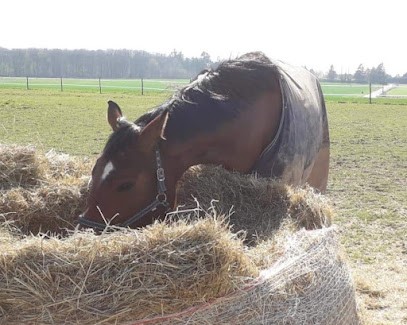 To Stables De Passy, Centre Equestres à Égreville