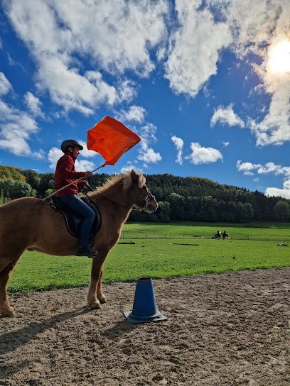 L'écurie Des Sources - Chevaux Islandais, Pension pour Chevaux à Éternoz