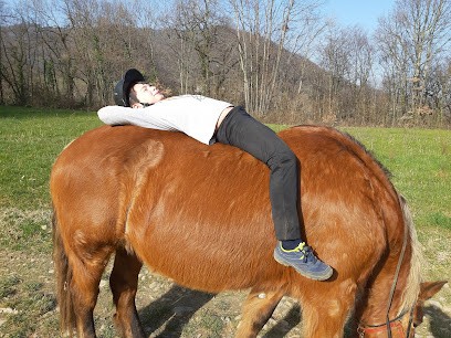 Les écuries De Charauze Médiation équine, Centre Equestres à Voiron