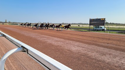 ECOLE DU TROT ET DES SPORTS EQUESTRES, Centre Equestres à La Capelle
