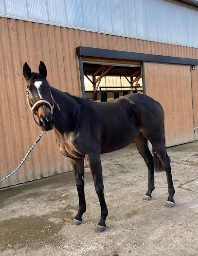 Second Chance Stables, Centre Equestres à Bouillé-Ménard