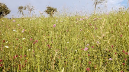 Le Pré Du Roy Écurie De Propriétaires, Pension pour Chevaux à Sauviat