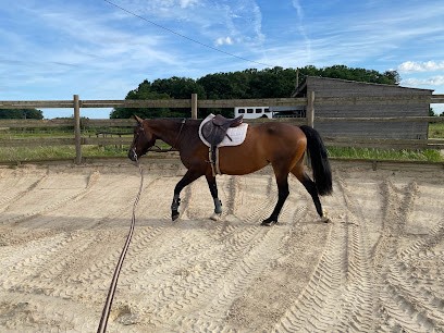 Elevage Des Petits Marais, Centre Equestres à Semoy