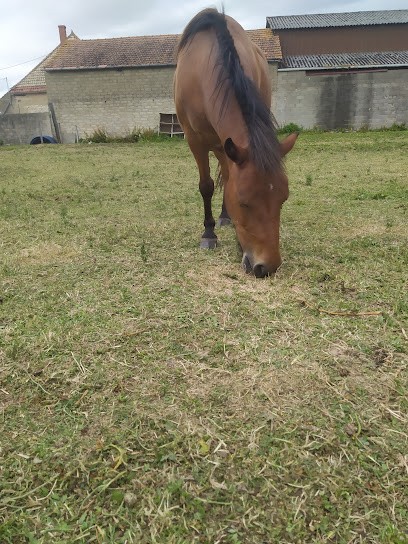 Lacroix-Chamouton, Centre Equestres à Rahon