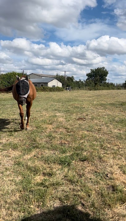Les Ecuries De La Forge, Pension pour Chevaux à Chapelle-Viviers