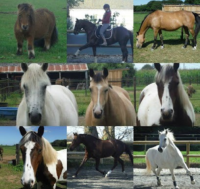 Les Écuries De Lan Pen Hoat, Centre Equestres à Taulé