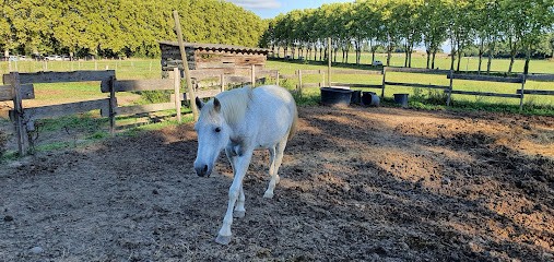 Pony Club De Grenade, Centre Equestres à Grenade