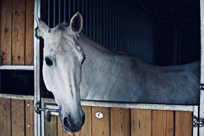 Ucpa Sport Loisirs Centre Equestre Saint Maur, Centre Equestres à Marolles-en-Brie