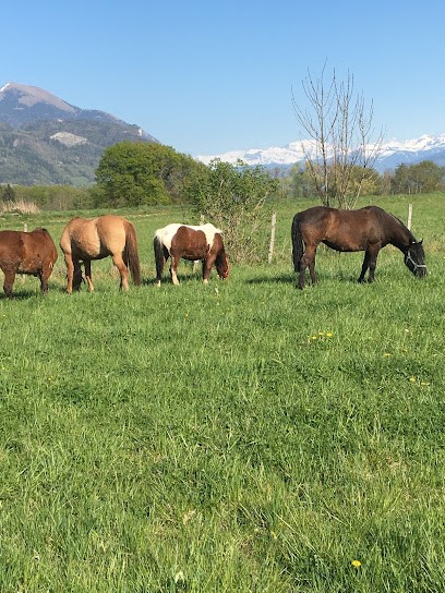 Le Poon's Fringant, Centre Equestres à La Roche-sur-Foron