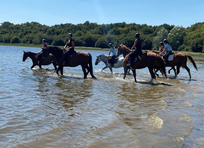 Ecurie De La Vieux Cours, Centre Equestres à Combourg
