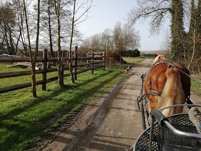 Champ à Cheval, Pension pour Chevaux à Bergères-lès-Vertus