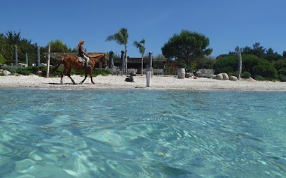 Ranch Villata, Centre Equestres à Zonza