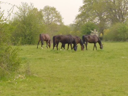 Haras le Canreu, Centre Equestres à Louvières-en-Auge