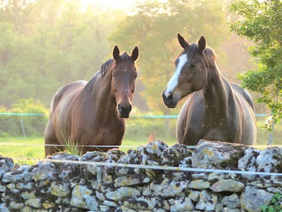 Pension pour chevaux - Domaine de Mons, Pension pour Chevaux à Assier