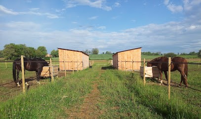 Écuries Du Barrail, Pension pour Chevaux à Beaufort