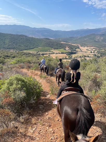 Ranch l'Indianna, Centre Equestres à Oletta