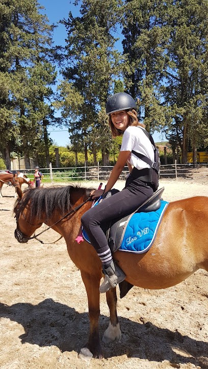 PONEY CLUB D ILOE, Centre Equestres à Velleron