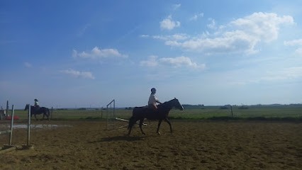 Les Longues Avoines, Centre Equestres à Lawarde-Mauger-l'Hortoy