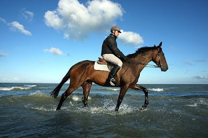 Ecurie Francis Gamichon, Pension pour Chevaux à Bréhal