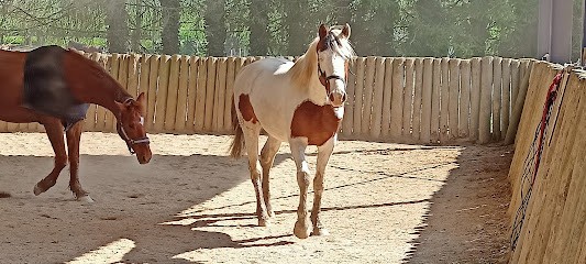 Le Ranch du Châtel, Centre Equestres à Lisse-en-Champagne