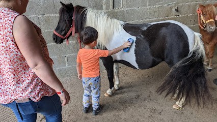 Centre Equestre La Rose Vents, Centre Equestres à Varennes-Vauzelles