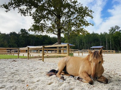 Enowood, Centre Equestres à Mortcerf