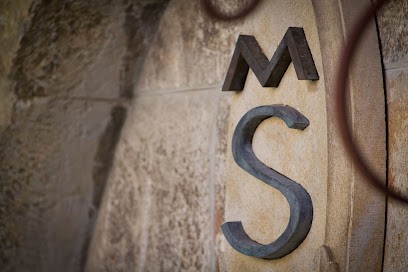 MASSA Horses - Écurie De Dressage, Centre Equestres aux Arcs