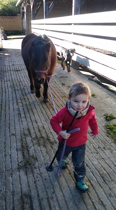 Equit'anime, Centre Equestres à Malansac