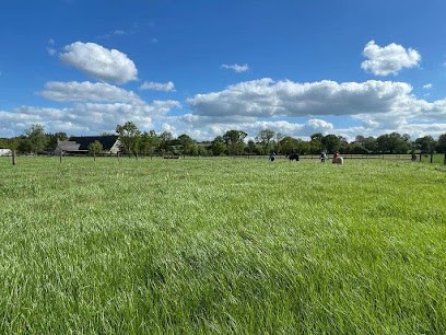 Pension - Élevage De Flée, Pension pour Chevaux à Segré-en-Anjou Bleu