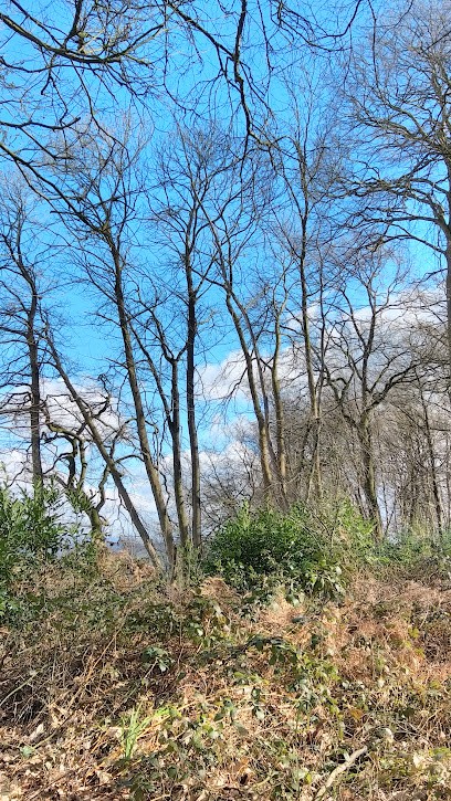 Ponies Pour Tous, Centre Equestres à Rives-en-Seine