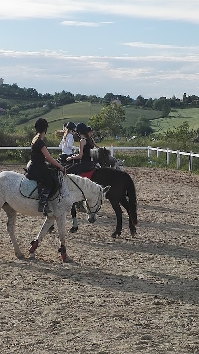 GRUGEON BRICE, Centre Equestres à Corronsac