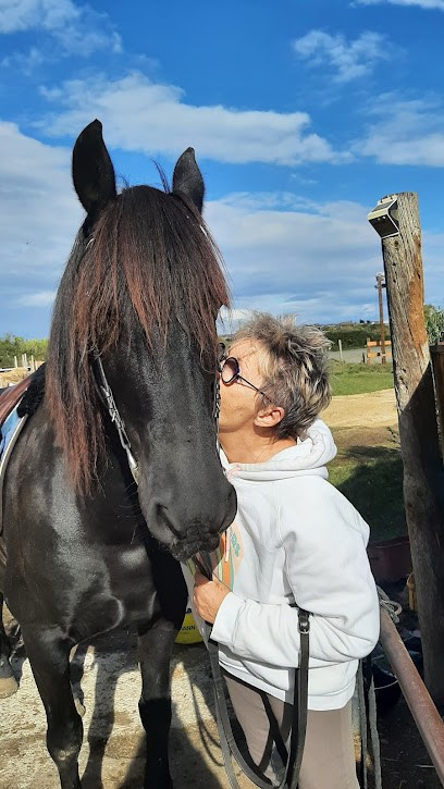 Écurie Sonjah, Centre Equestres à Saint-Geniès-des-Mourgues