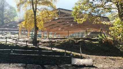 Pony Cheval Nature Rapeaux Aujard, Centre Equestres à Saint-Martin-d'Uriage
