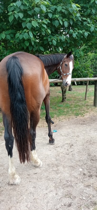 Ecuries De Corbière, Centre Equestres à Damiatte
