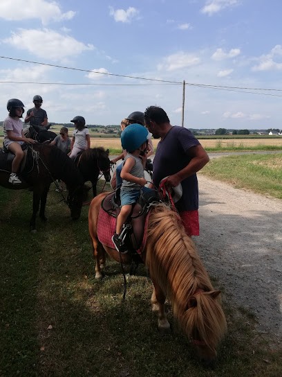 La P Tite Chevauchee, Centre Equestres à Draché