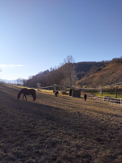 Les Ecuries Cps Pension Pour Chevaux à Murinais